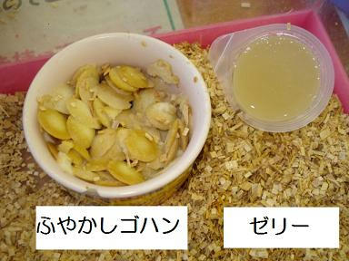 DSC00641.JPG