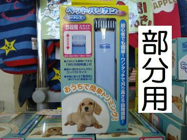 DSC00711.JPG