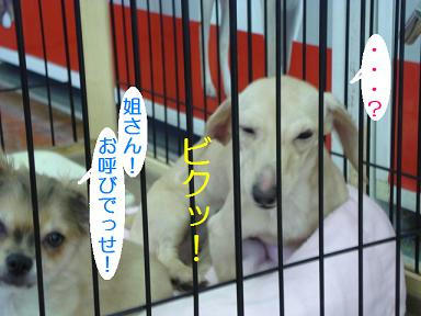 DSC00713.JPG