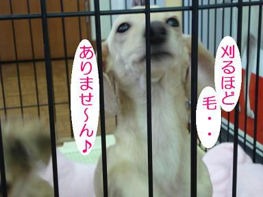 DSC00733.JPG