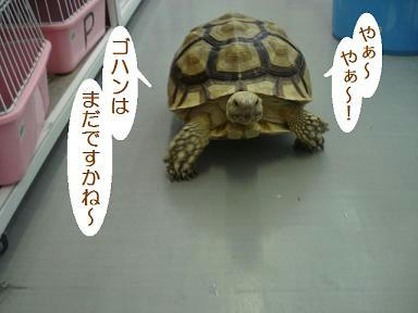 DSC00843.JPG