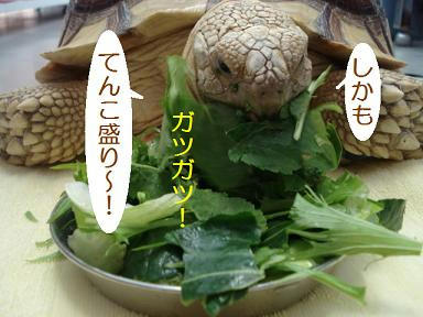 DSC00840.JPG