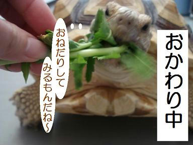 DSC00833.JPG