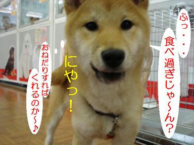 DSC00826.JPG