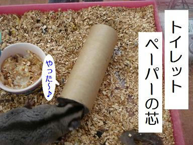 DSC00850.JPG