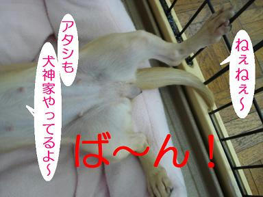 DSC00860.JPG