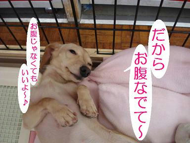 DSC00867.JPG