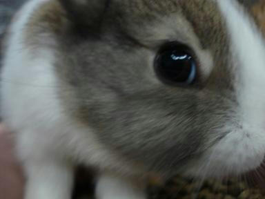 DSC00872.JPG