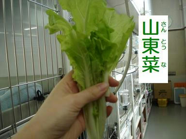 DSC01089.JPG