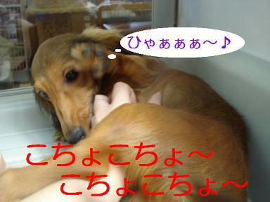DSC01079.JPG