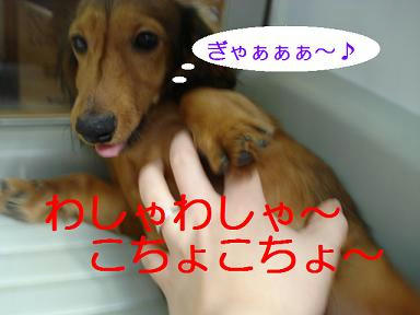 DSC01077.JPG