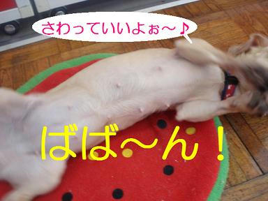 DSC01143.JPG
