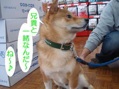 DSC01435.JPG