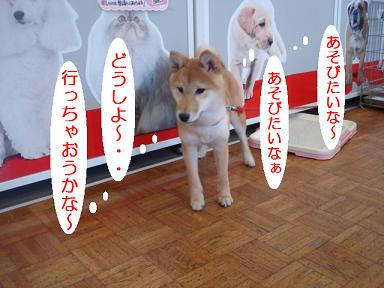 DSC01444.JPG