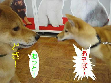 DSC01446.JPG