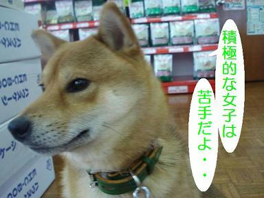 DSC01440.JPG