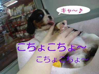 DSC01530.JPG