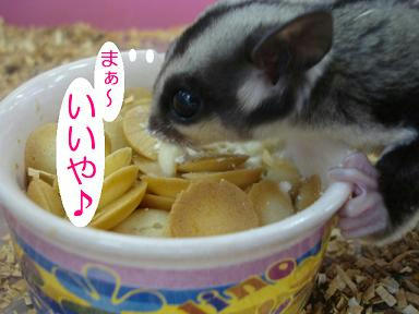 DSC01618.JPG