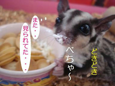 DSC01621.JPG