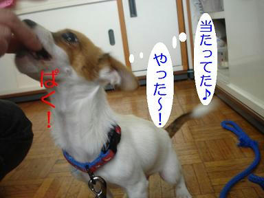 DSC01720.JPG