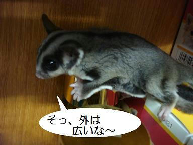 DSC01844.JPG