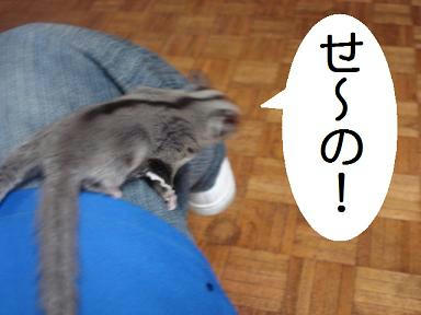 DSC01845.JPG