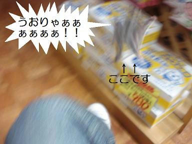 DSC01849.JPG
