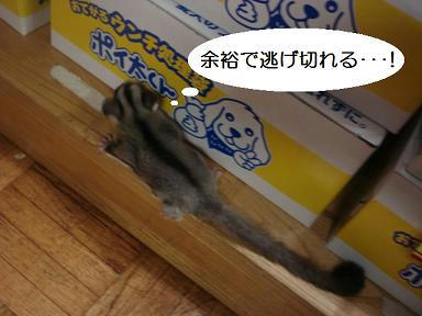 DSC01850.JPG
