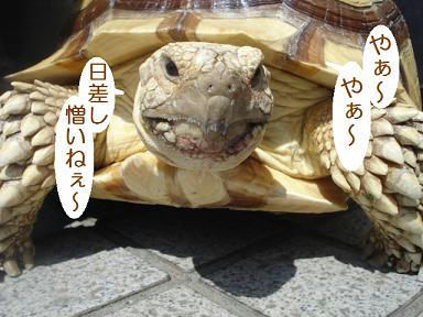 DSC01900.JPG