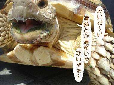DSC01901.JPG
