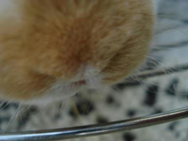DSC02109.JPG