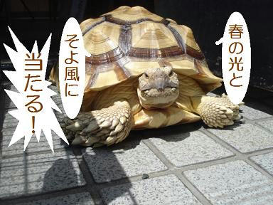 DSC02030.JPG