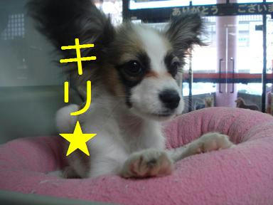 DSC01874.JPG