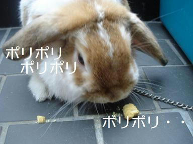 DSC02135.JPG