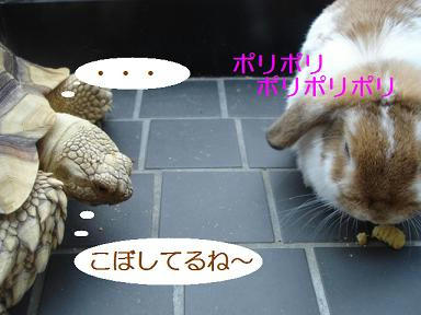 DSC02131.JPG