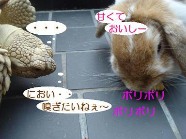 DSC02129.JPG