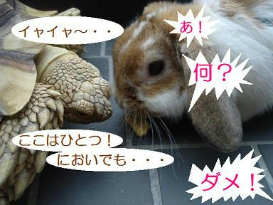 DSC02128.JPG