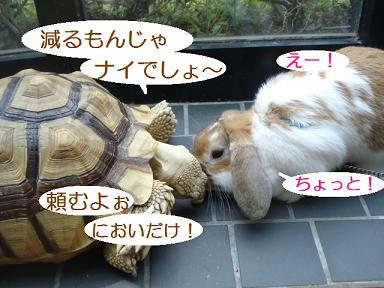 DSC02126.JPG