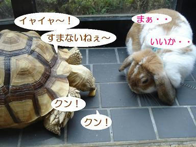 DSC02124.JPG