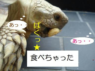 DSC02123.JPG