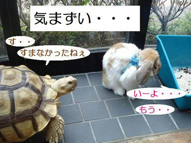 DSC02112.JPG