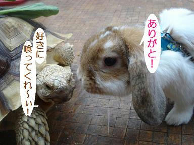 DSC02216.JPG