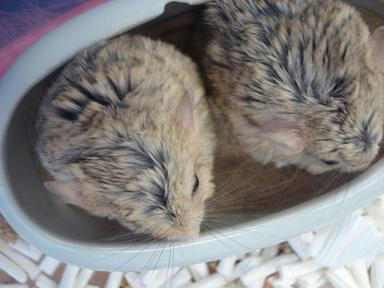 DSC02269.JPG