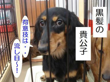DSC02380.JPG