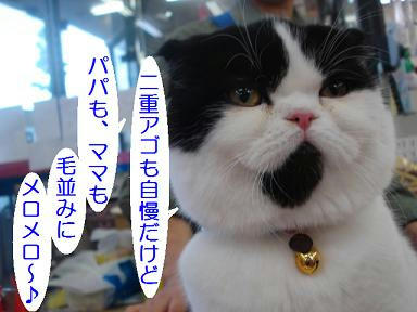 DSC02719.JPG