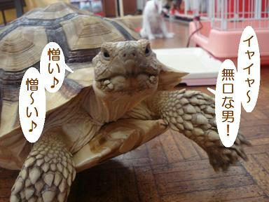 DSC02733.JPG
