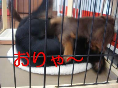 DSC02918.JPG