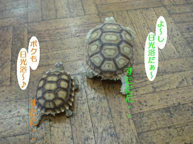 DSC03053.JPG