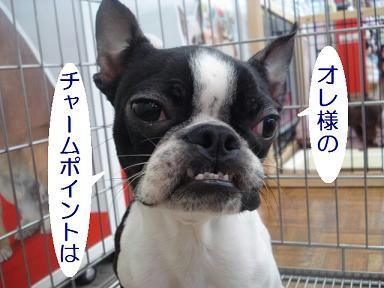 DSC03285.JPG