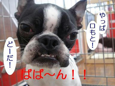 DSC03282.JPG